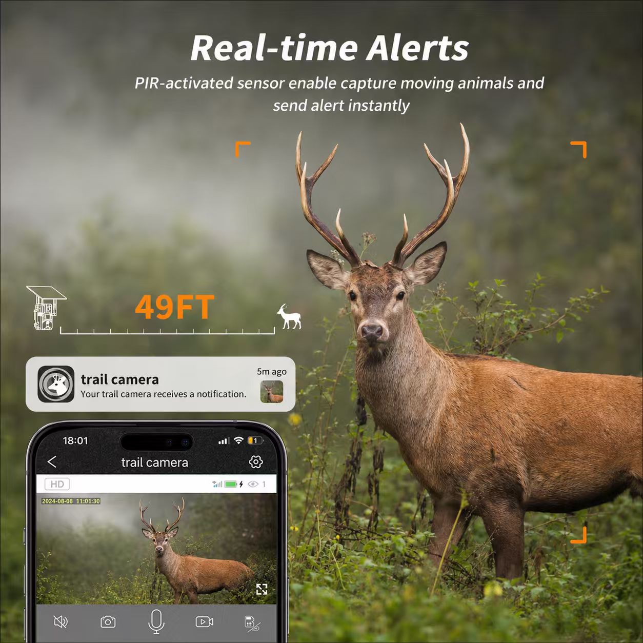 Fotocamera da Caccia 4G con Si - Home Security Game recensione e prezzo