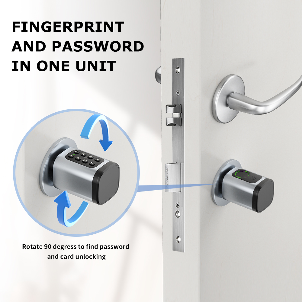 RAYKUBE V1 Tuya BLE TT Serratu - Home Security Keypad recensione e prezzo