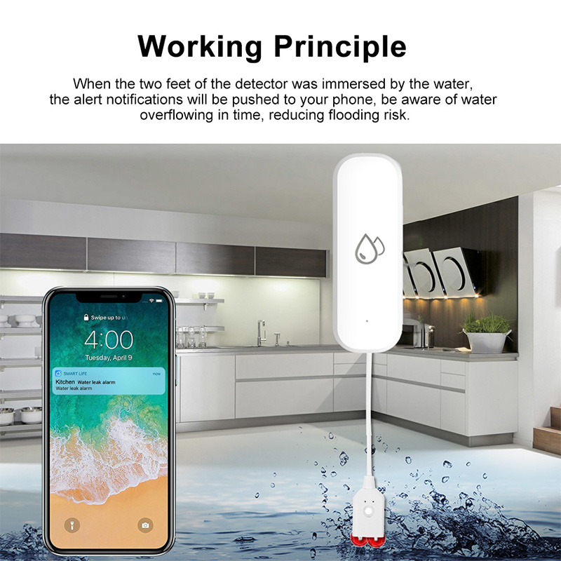 Sensore Allarme Perdite d'Acqu - Home Security And Monitoring recensione e prezzo