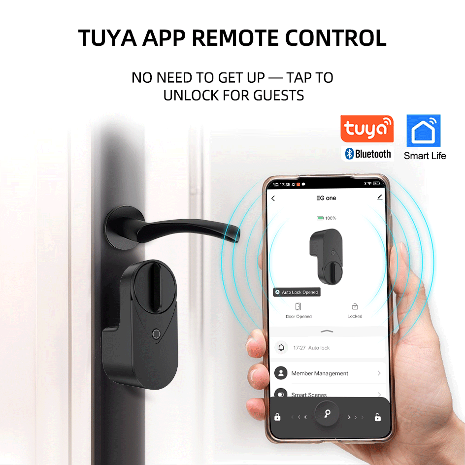 RAYKUBE EG One Tuya BLE Smart  - Home Security Keypad recensione e prezzo