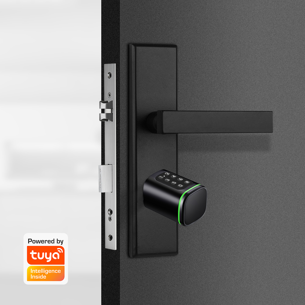 Serratura a cilindro intellige - Home Security Deals recensione e prezzo